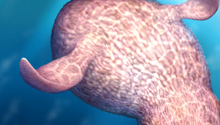 Gurita Raksasa 19 Meter Predator Laut Zaman Dinosaurus Nyata