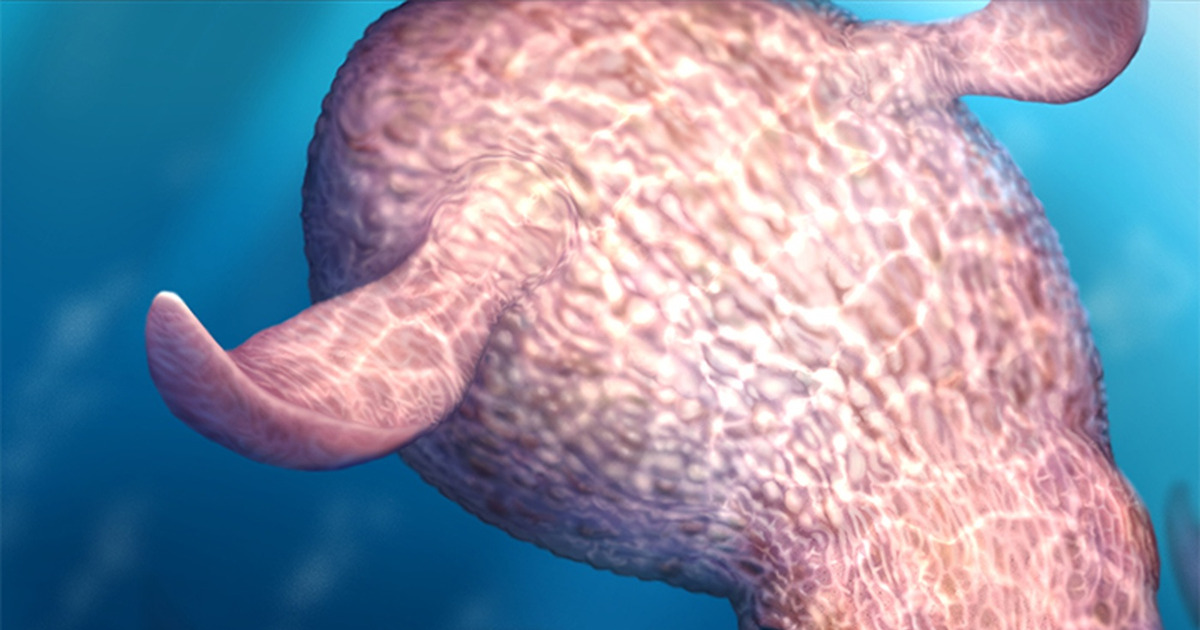 Gurita Raksasa 19 Meter Predator Laut Zaman Dinosaurus Nyata