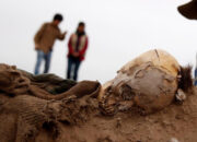 Horor Sunjang Korea Kuno Pengorbanan Keluarga Terkuak