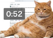 Kucing Oren Viral Jaga Layarmu Hentikan Kebiasaan Scrolling!