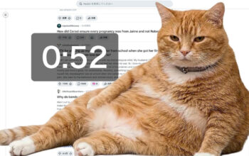 Kucing Oren Viral Jaga Layarmu Hentikan Kebiasaan Scrolling!