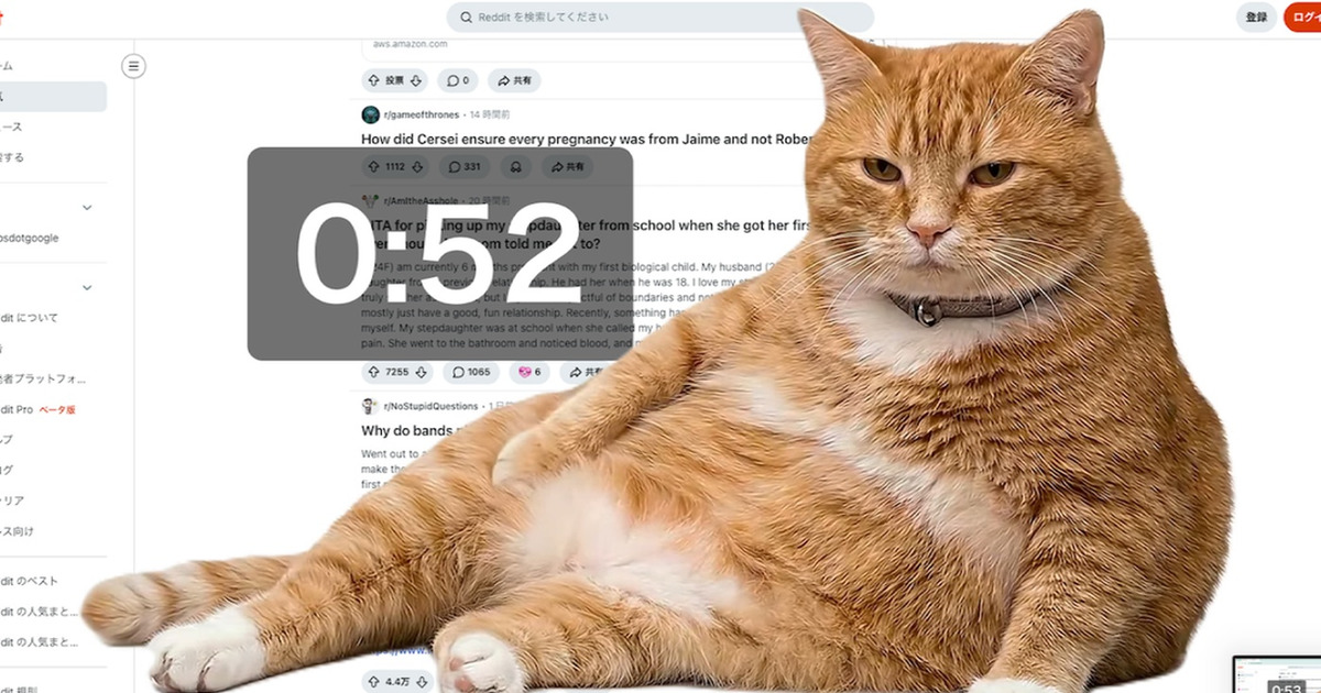 Kucing Oren Viral Jaga Layarmu Hentikan Kebiasaan Scrolling!