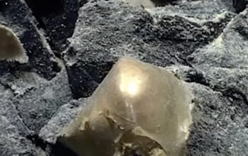 Misteri Bola Emas Dasar Laut Terpecahkan Bikin Geger Dunia