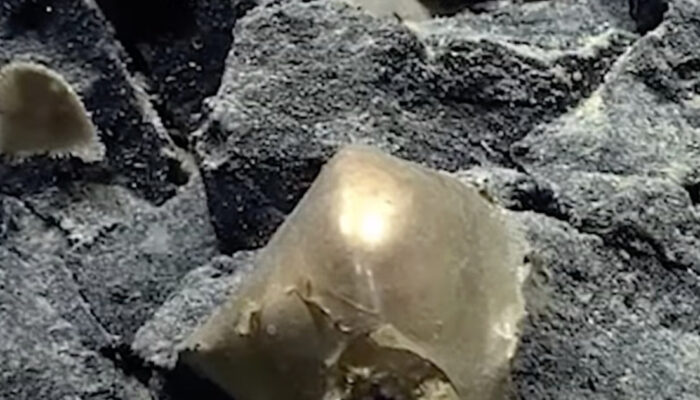 Misteri Bola Emas Dasar Laut Terpecahkan Bikin Geger Dunia