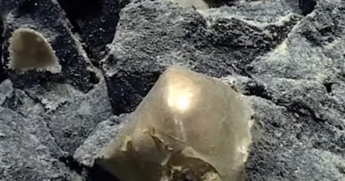 Misteri Bola Emas Dasar Laut Terpecahkan Bikin Geger Dunia