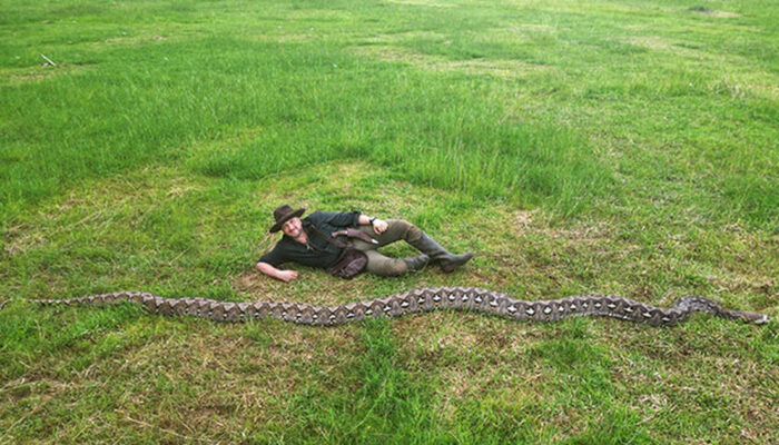 Penampakan Ular Terpanjang Dunia di Sulawesi Bikin Heboh