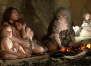 Rahasia Pertumbuhan Super Cepat Bayi Neanderthal Terungkap