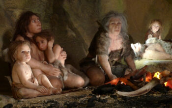 Rahasia Pertumbuhan Super Cepat Bayi Neanderthal Terungkap