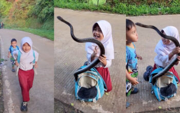 Sensasi Ular Besar di Tas Anak SD Asli atau Hasil AI Canggih