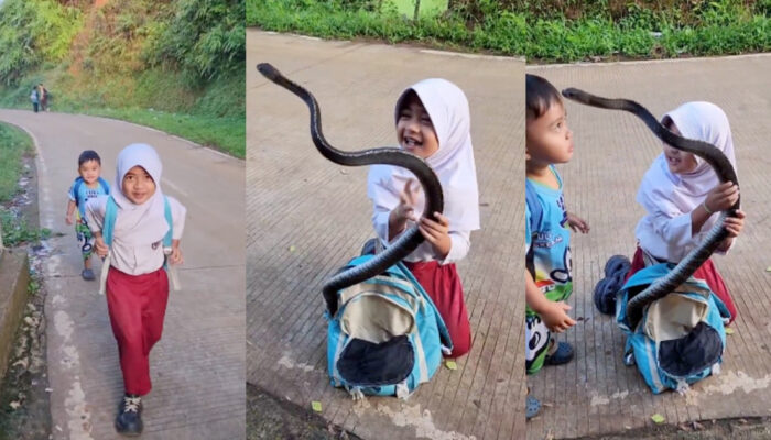Sensasi Ular Besar di Tas Anak SD Asli atau Hasil AI Canggih