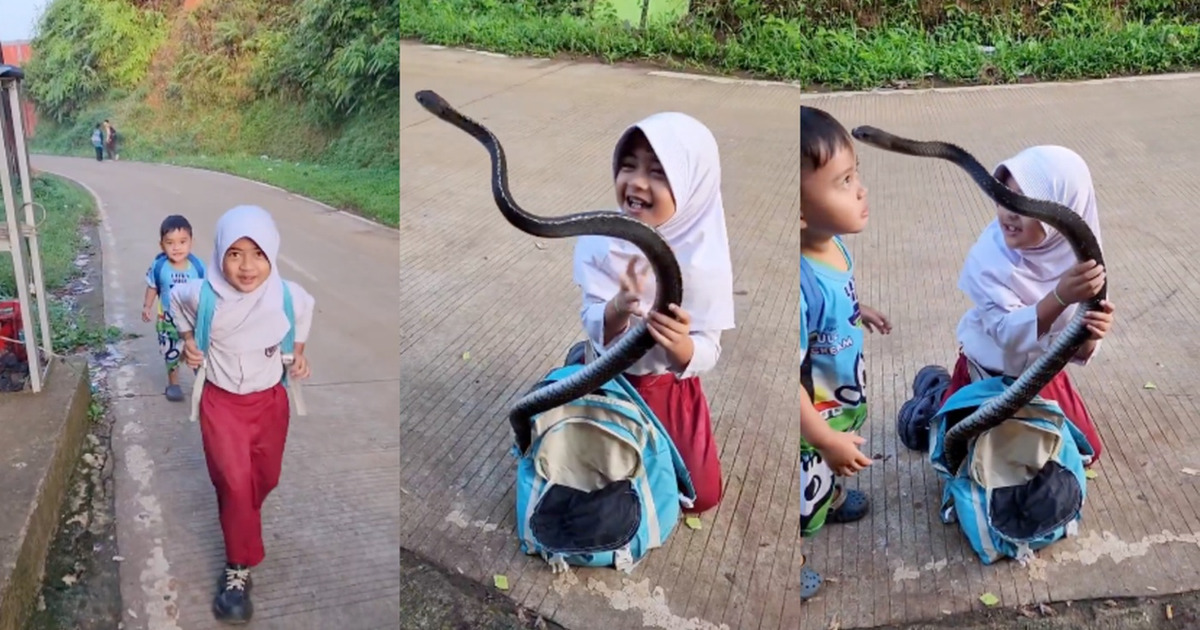 Sensasi Ular Besar di Tas Anak SD Asli atau Hasil AI Canggih