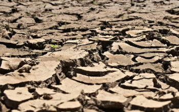 Super El Nino Mengintai Bumi Mendidih Rekor Panas Pecah