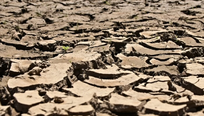 Super El Nino Mengintai Bumi Mendidih Rekor Panas Pecah