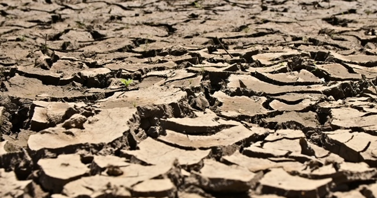 Super El Nino Mengintai Bumi Mendidih Rekor Panas Pecah