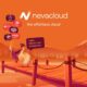 Kontribusi Nevacloud bagi Komunitas Developer di Surabaya