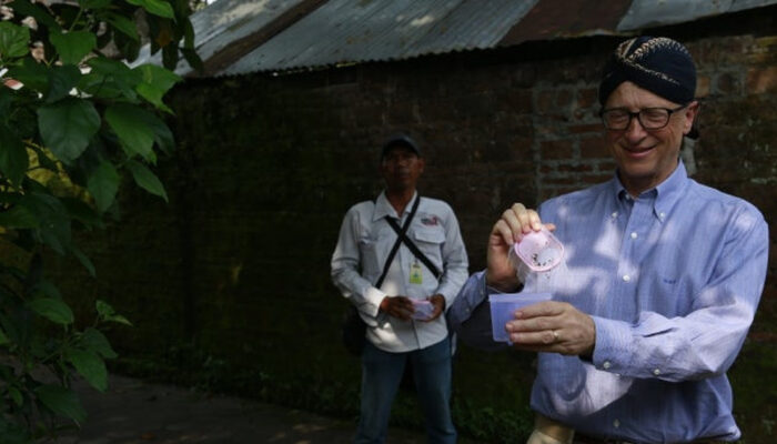 Bill Gates Lepas Puluhan Juta Nyamuk Tiap Minggu Ini Tujuannya