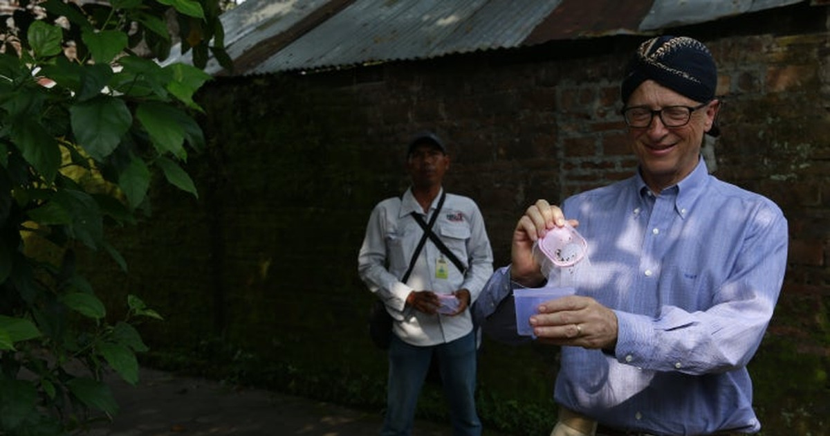 Bill Gates Lepas Puluhan Juta Nyamuk Tiap Minggu Ini Tujuannya