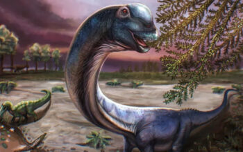 Geger Penemuan Dinosaurus Raksasa Sepanjang Paus Biru di Thailand