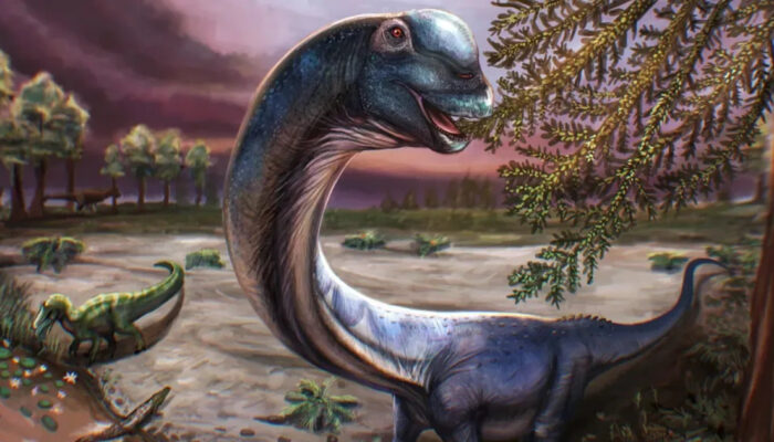Geger Penemuan Dinosaurus Raksasa Sepanjang Paus Biru di Thailand