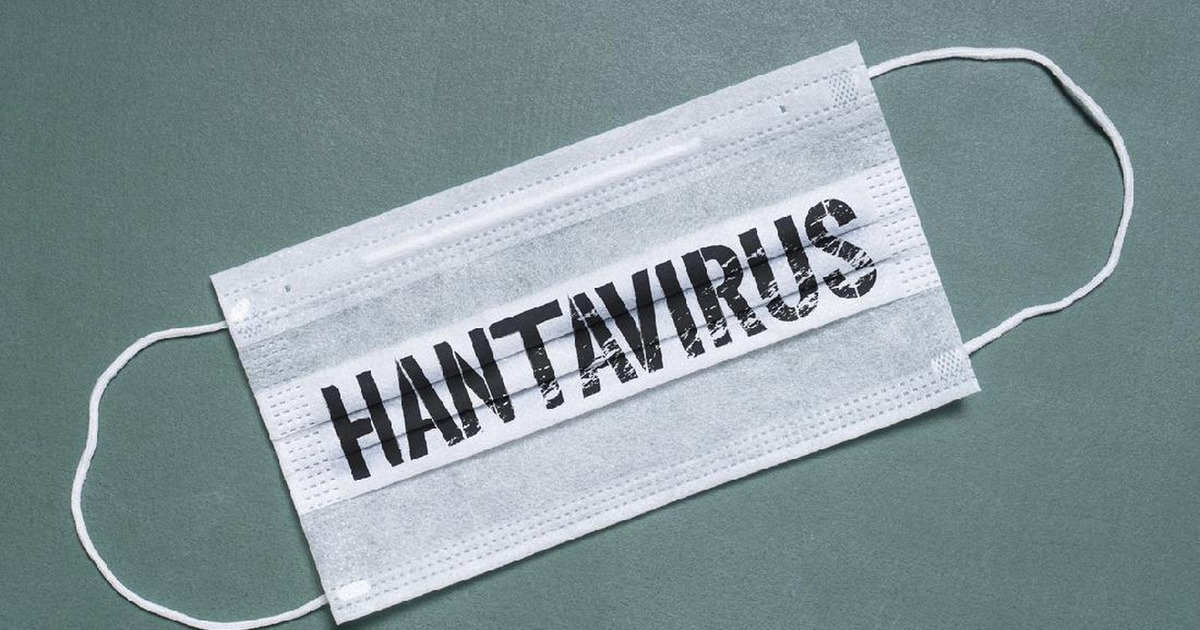 Hantavirus Menggila Prediksi Mengerikan Ini Jadi Nyata