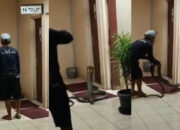 King Cobra Raksasa di Toilet Kantor Gegerkan Medsos
