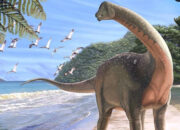 Minyak Bumi Bukan Fosil Dinosaurus Ini Sumber Aslinya!