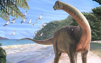 Minyak Bumi Bukan Fosil Dinosaurus Ini Sumber Aslinya!