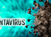 Puluhan Penumpang MV Hondius Tersebar Bawa Virus Mematikan