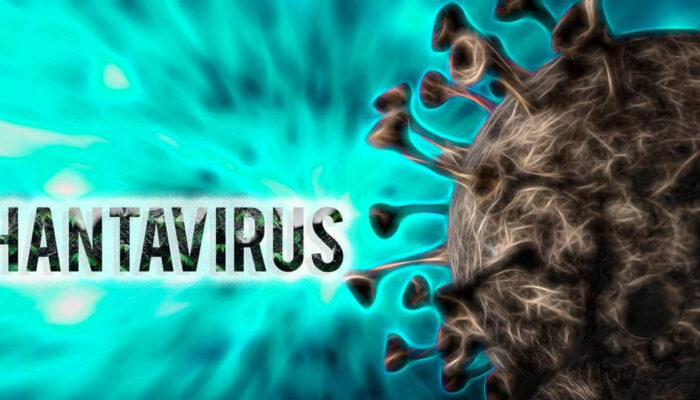 Puluhan Penumpang MV Hondius Tersebar Bawa Virus Mematikan