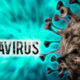 Puluhan Penumpang MV Hondius Tersebar Bawa Virus Mematikan