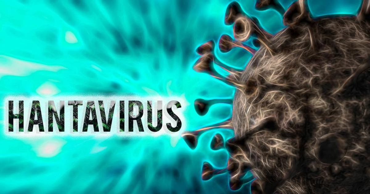 Puluhan Penumpang MV Hondius Tersebar Bawa Virus Mematikan