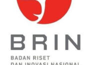 Terkuak AI BRIN Bikin Prediksi Cuaca Indonesia Tepat