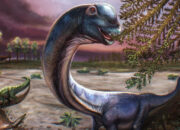 Terkuak Nagatitan Dinosaurus Raksasa Asia Tenggara Terbesar