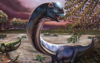 Terkuak Nagatitan Dinosaurus Raksasa Asia Tenggara Terbesar