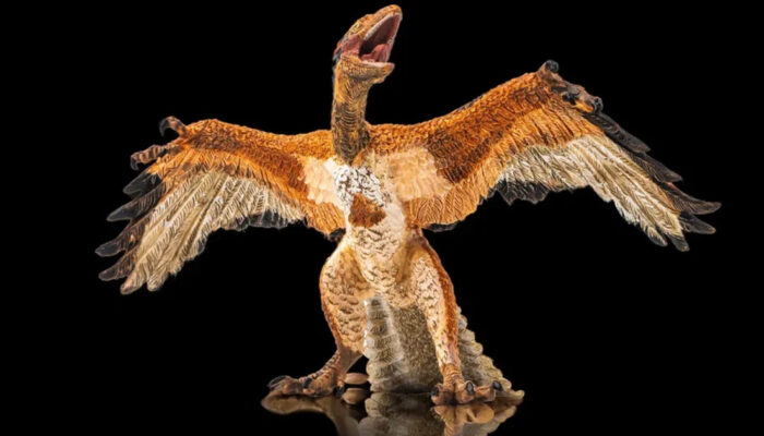 Terungkap Burung di Sekitarmu Ternyata Keturunan Dinosaurus!