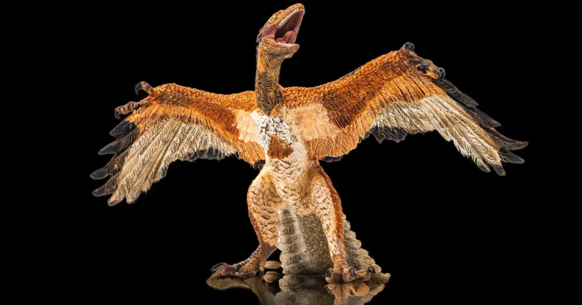 Terungkap Burung di Sekitarmu Ternyata Keturunan Dinosaurus!