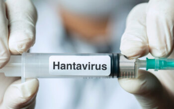 Virus Tikus Mematikan Mengintai Dunia Akibat Iklim Berubah