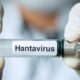 Virus Tikus Mematikan Mengintai Dunia Akibat Iklim Berubah