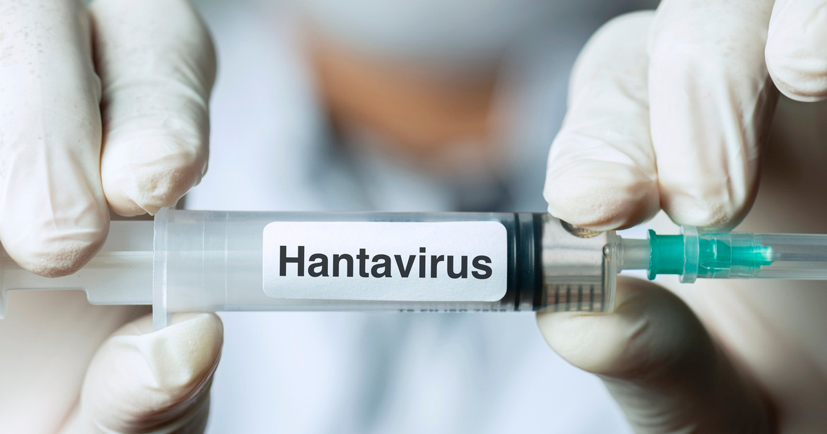 Virus Tikus Mematikan Mengintai Dunia Akibat Iklim Berubah