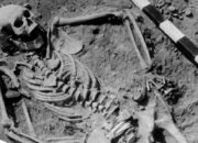 Misteri Wabah Purba Siberia Terungkap Setelah Ribuan Tahun