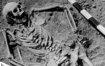 Misteri Wabah Purba Siberia Terungkap Setelah Ribuan Tahun