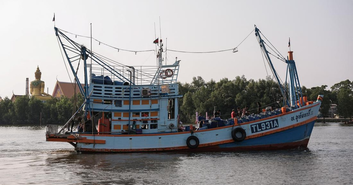 Upwelling 2026 Terbentuk Nelayan Bersiap Panen Raya Ikan