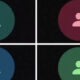 Warna Kontak WhatsApp Viral Ini Faktanya Kamu Wajib Tahu