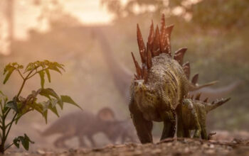 Fakta Mengejutkan Hari Dinosaurus Lebih Singkat dari Kita