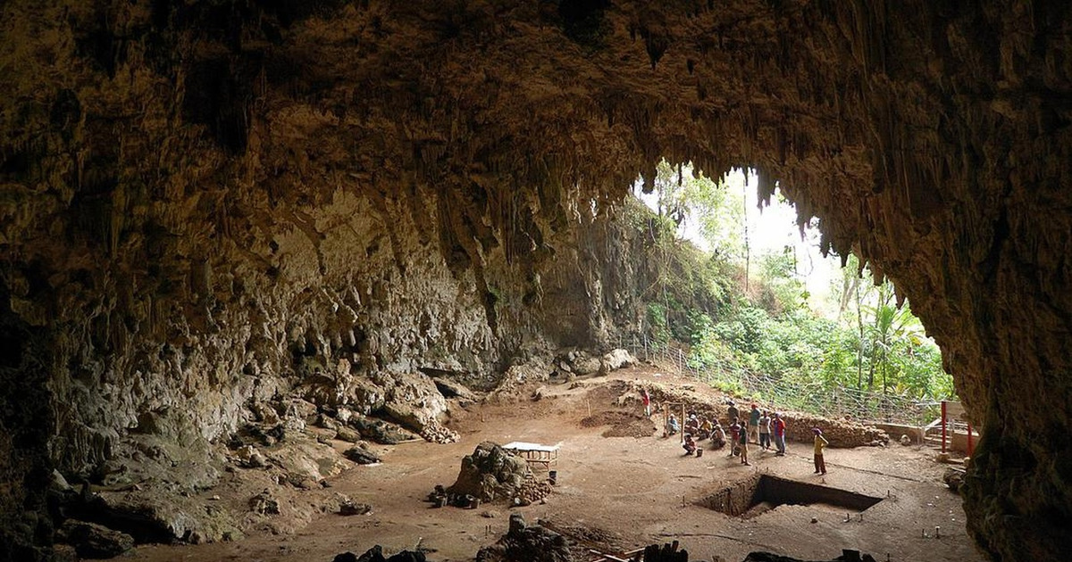 Hobbit Flores Ternyata Pemakan Bangkai Komodo Terungkap!