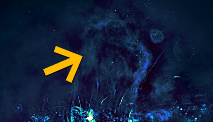 Misteri Raksasa Bima Sakti Terpecahkan Bukan di Pusat!
