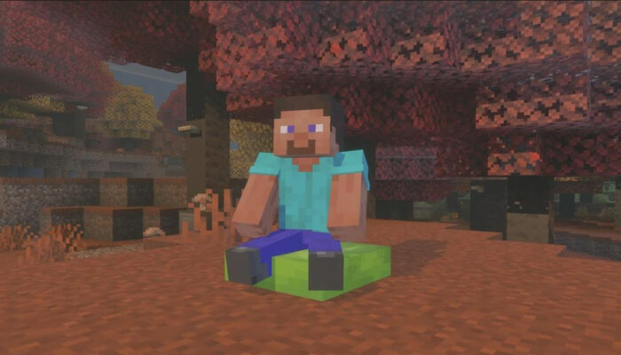 Setelah 17 Tahun Akhirnya Bisa Duduk di Minecraft