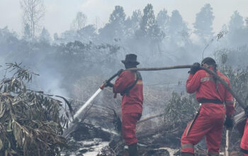 Cek Titik Panas Karhutla dari Ponselmu Begini Caranya
