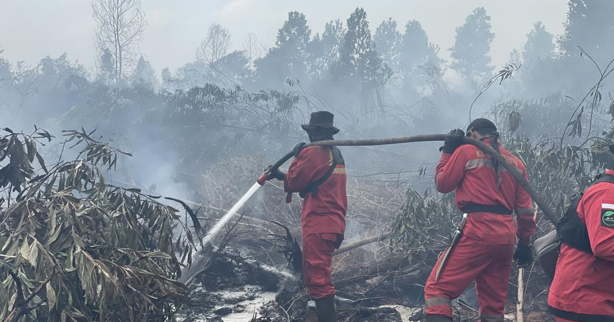 Cek Titik Panas Karhutla dari Ponselmu Begini Caranya
