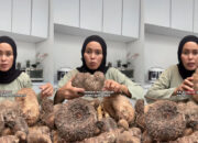 Kimpul Umbi Lokal Mendadak Viral di X, Ini Rahasianya!